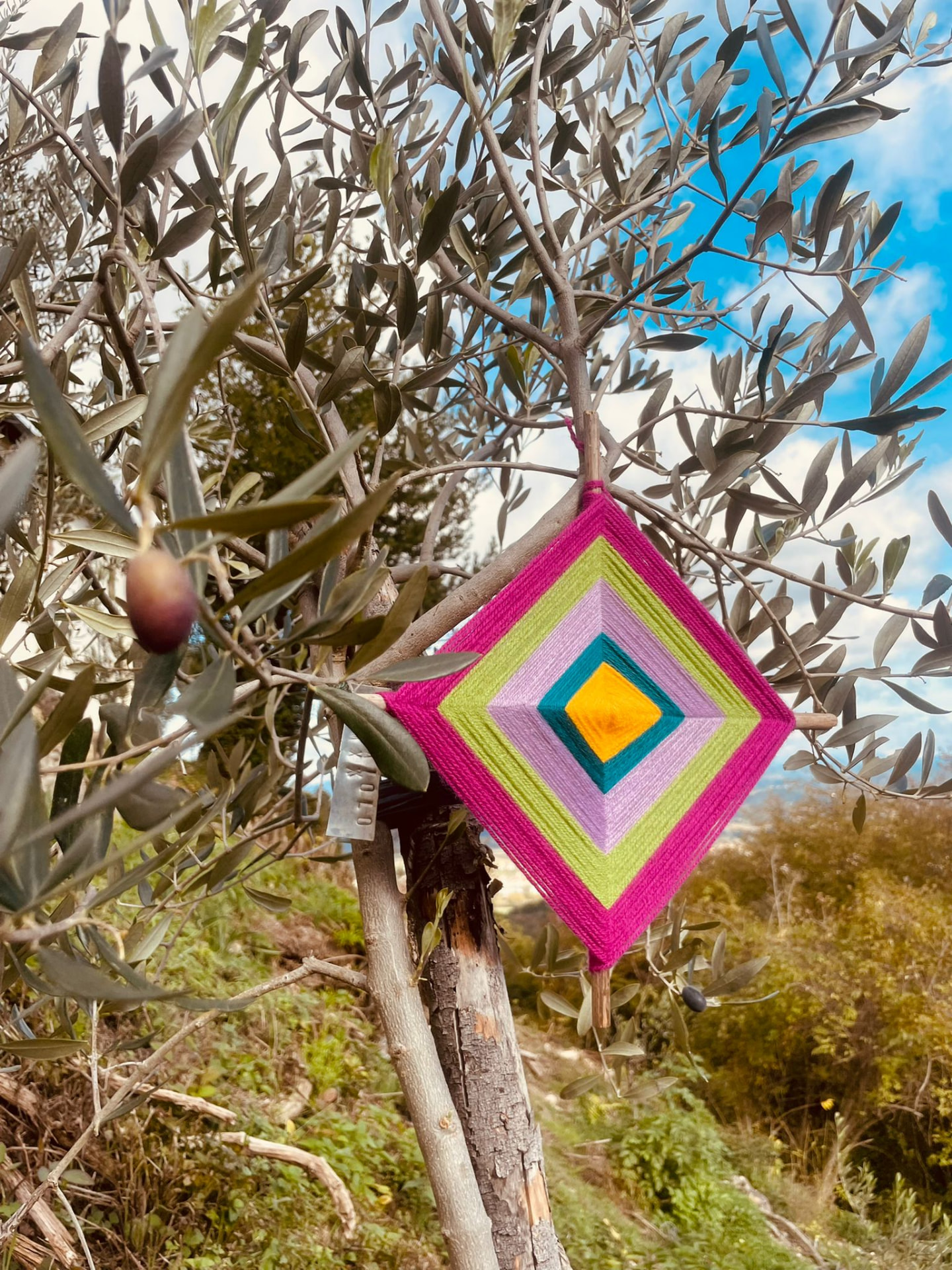 L’intreccio di lana colorato dell’intento, appeso a un ramo d’ulivo