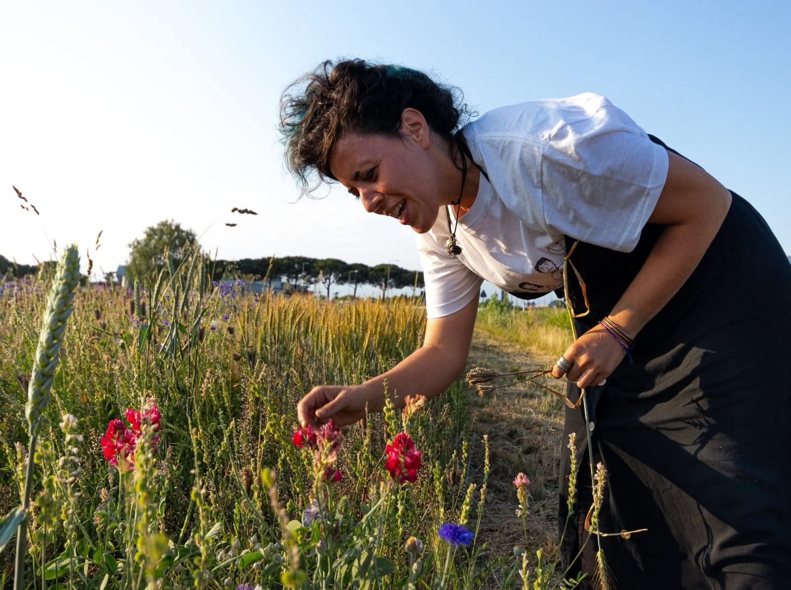 Lucia Mattarocci, maestra ERbaria, tra i fiori di un campo